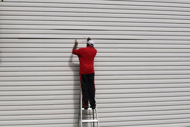 Best Insulated Siding Installation  in Brownsville, KY